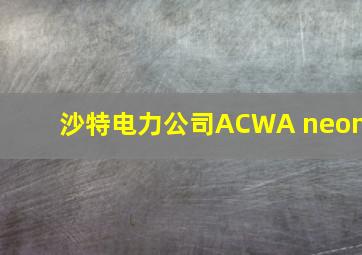 沙特电力公司ACWA neom